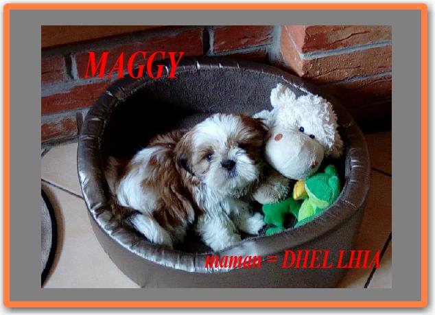 Maggy1