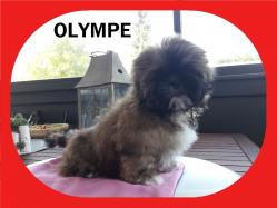 Olympe depart 1