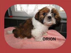 Orion depart